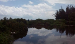 Bi kịch cuộc đời bé gái nghi bị xâm hại chết lõa thể dưới hồ